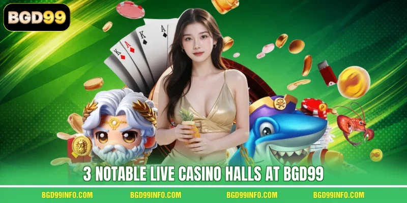 3 notable Live Casino halls at BGD99