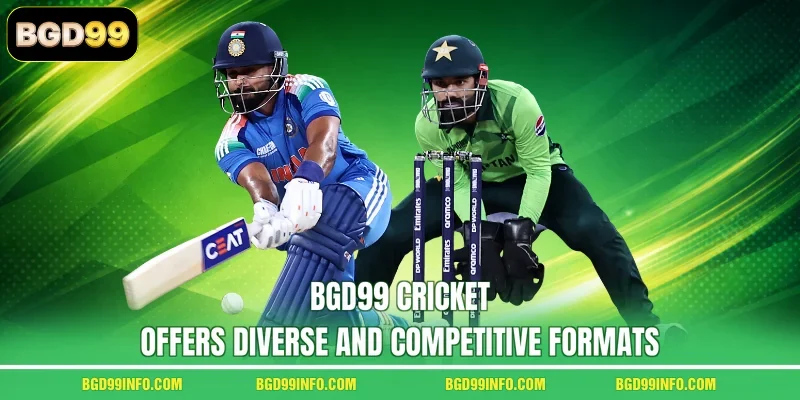 BGD99 Cricket offers diverse and competitive formats