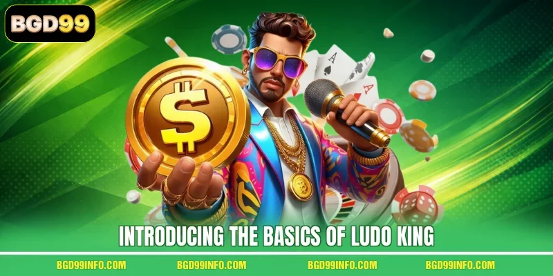 Introducing the basics of Ludo King